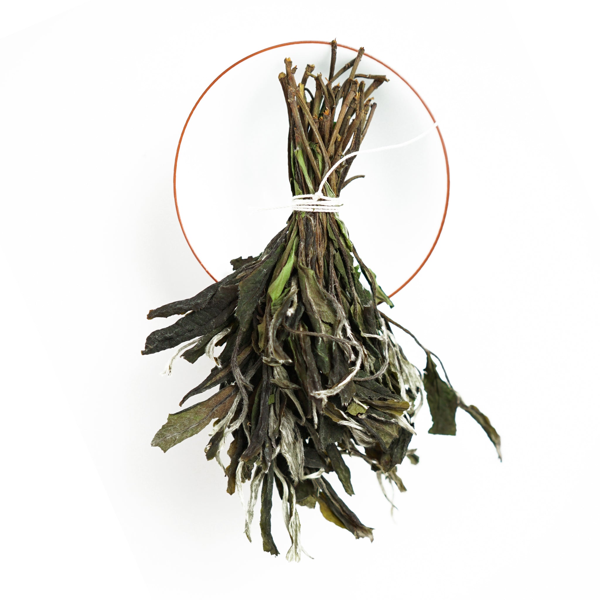 Wild Tea