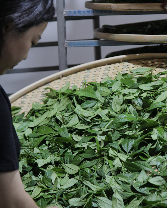 Meet the Farmer: A Meng | Wuyishan, China | Rock tea