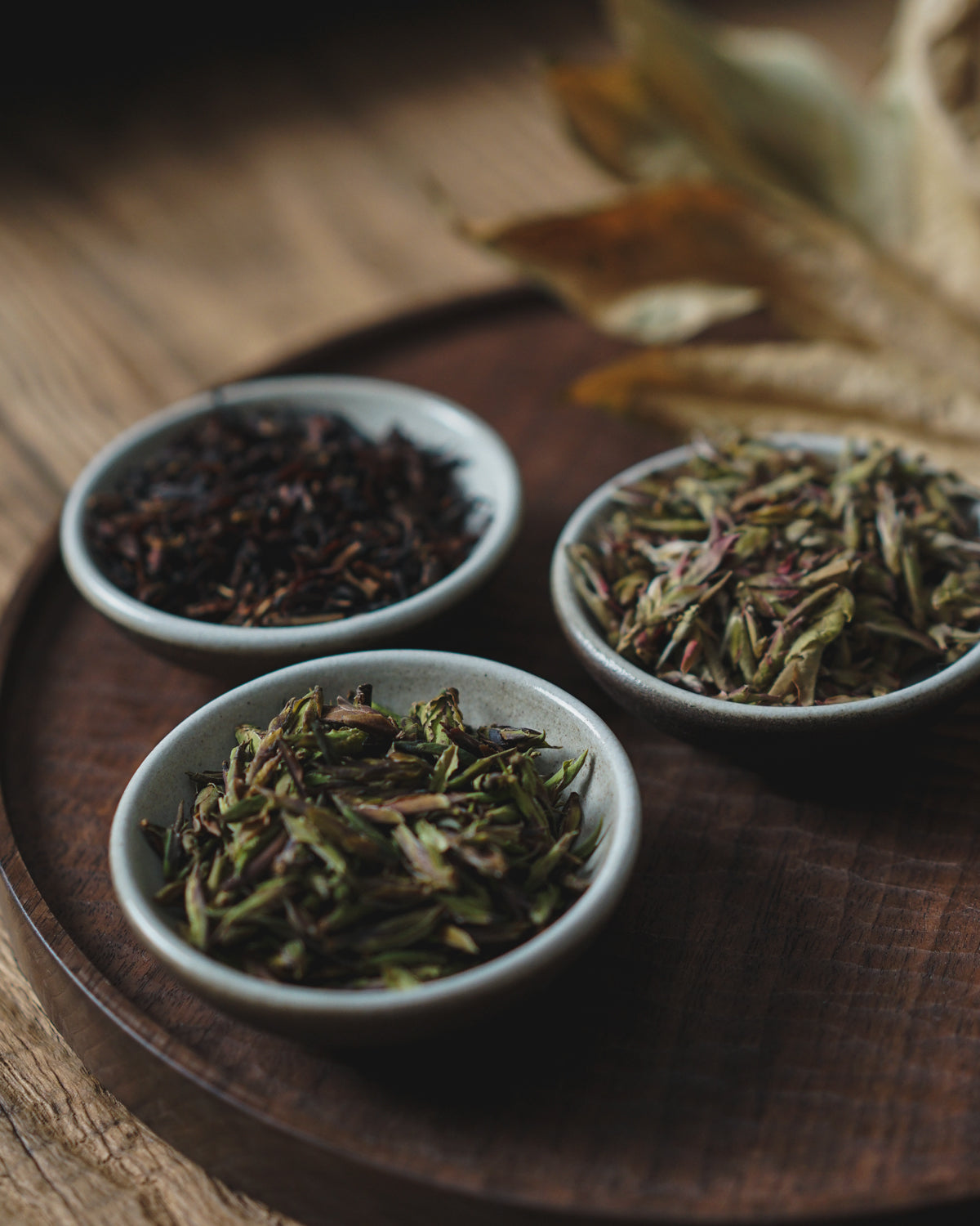 Tea 101: All about wild tea