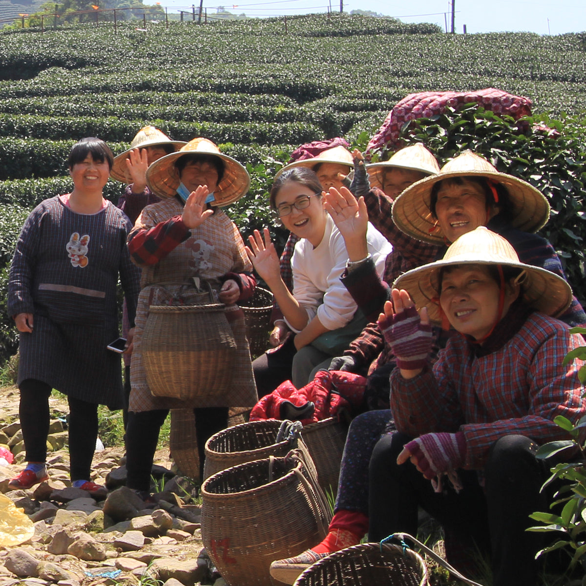 Celebrating our female tea producers