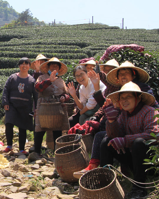 Celebrating our female tea producers