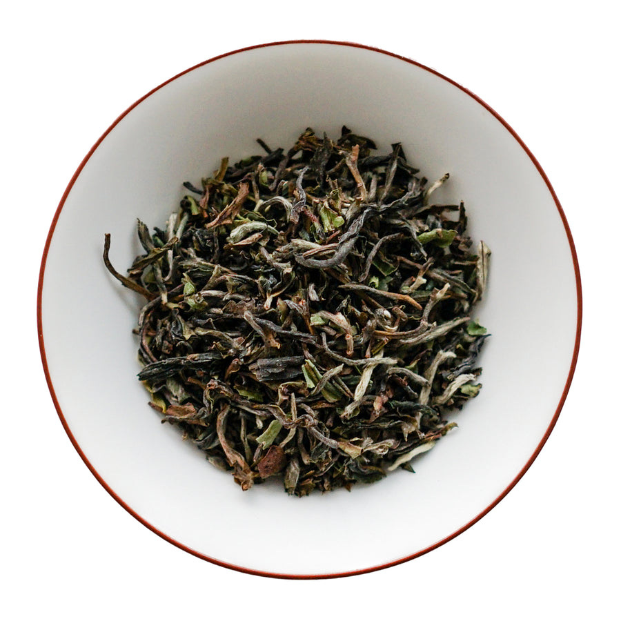 Darjeeling First Flush (Glenburn)