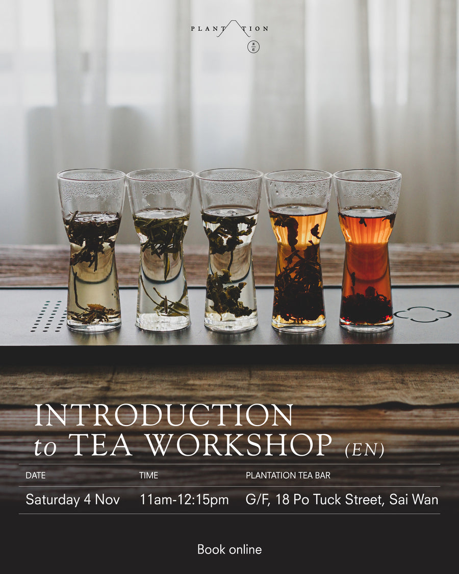 Introduction to Tea Workshop – Plantation Teas