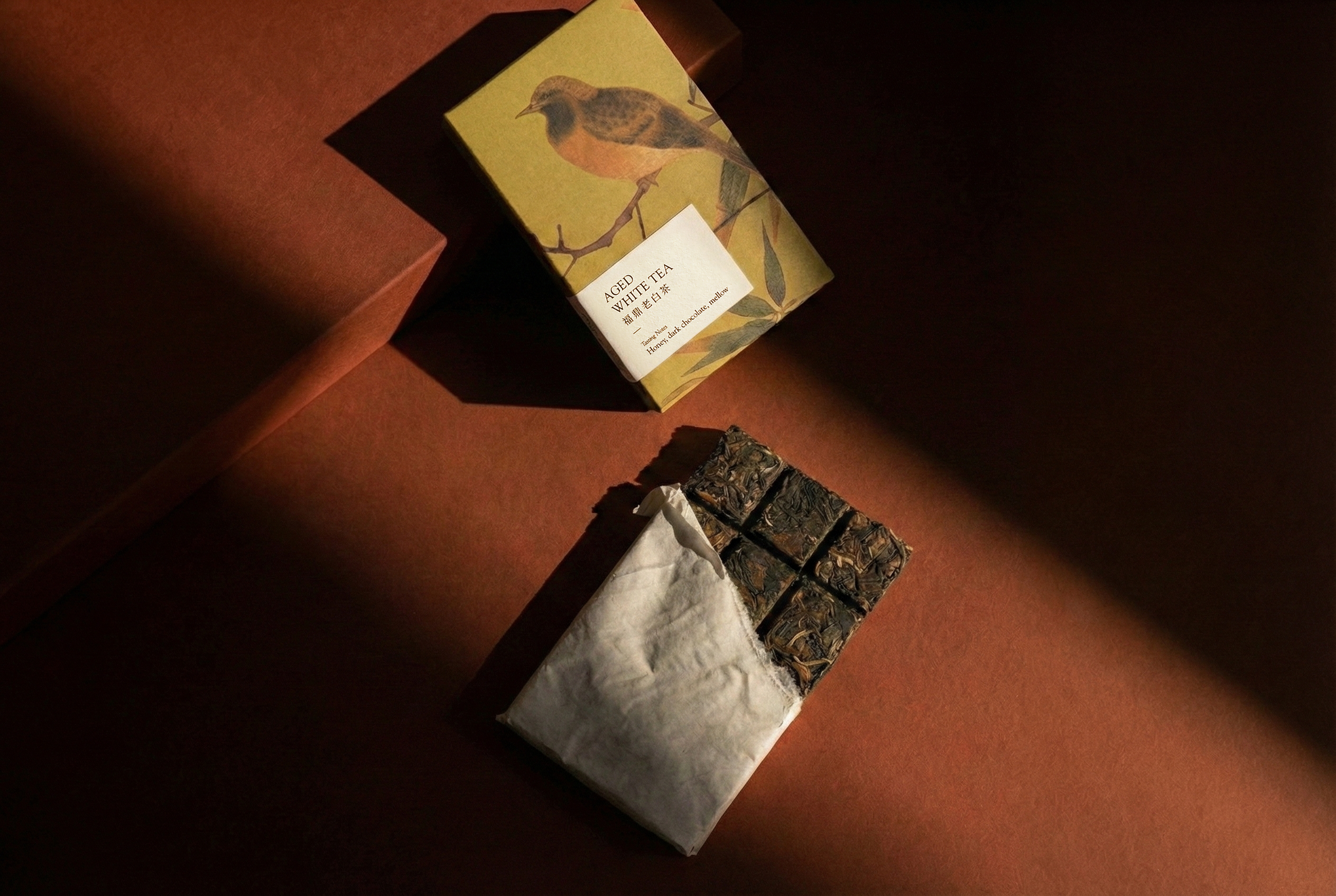 Love comes in many forms