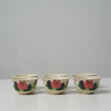 Fengxi Five Color Gongfu Tea Set