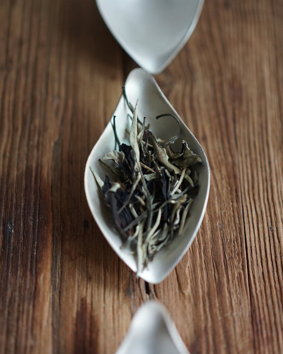 Silver-Glazed Tea Scoop