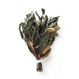 Forest Wild White Broom Tea